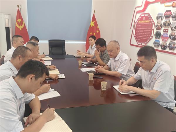 公司領(lǐng)導調(diào)研指導鼎信公司、藍盾...